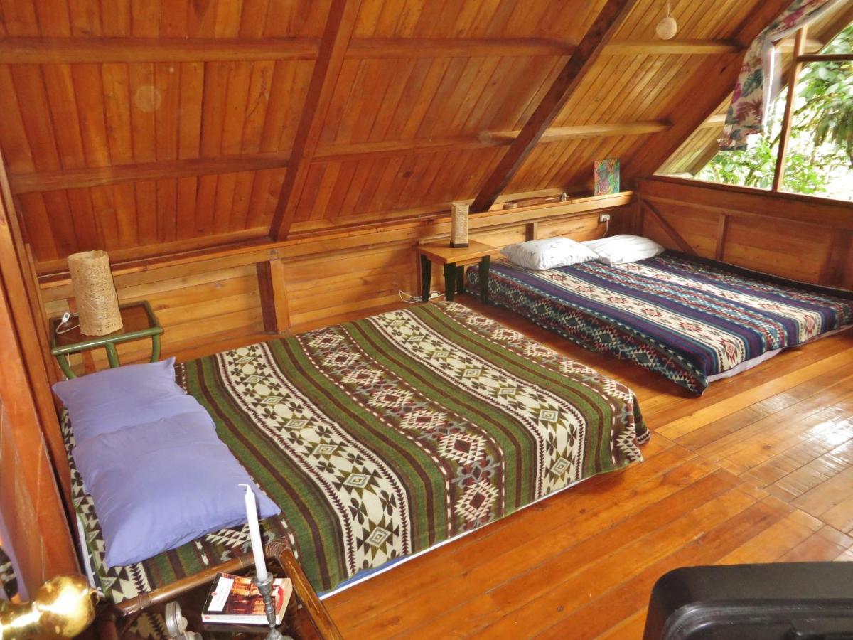 Mindo Eco Chalet Con Rio Y Cascada Buitenkant foto