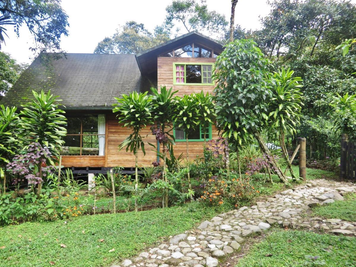 Mindo Eco Chalet Con Rio Y Cascada Buitenkant foto